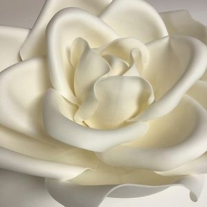 Wedding or Any Occasion Roses in Creamy White, 3 Large, 4 Small